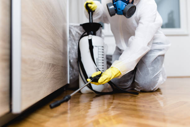 Best Pest Removal Services  in Highland On The Lake, NY