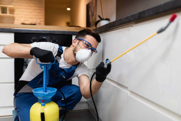 Best Best Pest Control Companies  in Highland On The Lake, NY