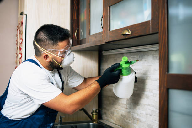 Best Mosquito Control Services  in Highland On The Lake, NY