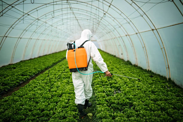 Best Affordable Pest Control Services  in Highland On The Lake, NY