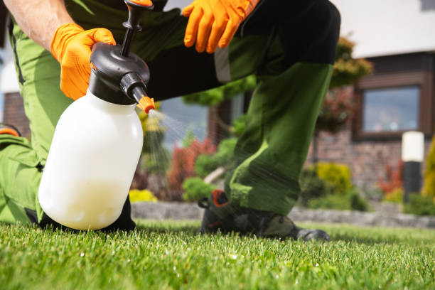 Best Termite Control Services  in Highland On The Lake, NY