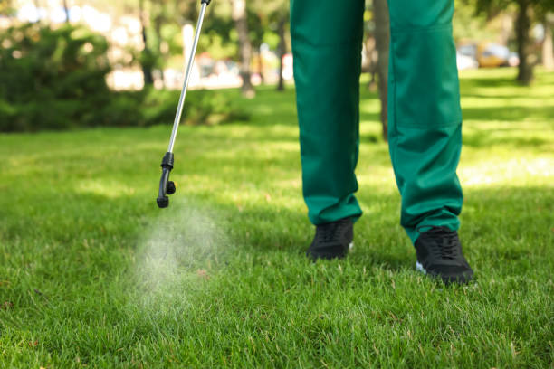 Best Best Pest Control Companies  in Highland On The Lake, NY